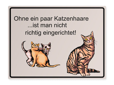 tierschild-quer-ohne-ein-paar-katzenhaare-ist-man-nicht-richtig-eingerichtet