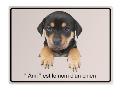 tierschild-quer-freund-ist-der-name-eines-hundes